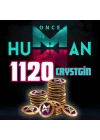 Once Human 1120 Crystgİn