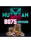 Once Human 8075 Crystgİn