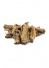 Organik Taze Dökme Çakşır Kökü 250 Gr