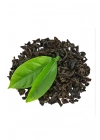 Organik Taze Dökme İran Yeşil Çay 250 Gr