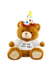 ® Oturan Happy Birthday Peluş Ayı 40cm