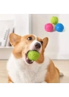 Pati Desenli Köpek Isırma Topu