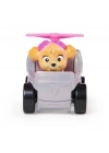 Paw Patrol Pup Squad Yarışçıları Skye