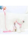 Peluş Ayıcıklı Göğüs Gezdirme Tasması Seti