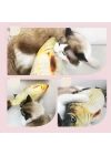 Peluş Balık Kedi Oyuncağı