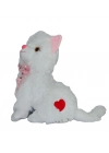 ® PELUŞ KEDİ 33CM HALLEY