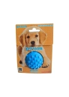 PetZoom Dikenli Köpek Oyun Topu