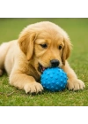 PetZoom Dikenli Köpek Oyun Topu