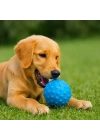 PetZoom Mavi Dikenli Köpek Oyun Topu