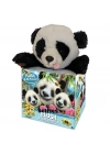 Prime 3D - Panda Pelüş ve Selfie 48 Parça Puzzle 15800