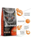 Pro Choice Pro 33 Sterilised Somonlu Kısırlaştırılmış Kedi Maması 15 Kg