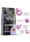 Pro Choice Pro 38 Kitten Kuzu Etli Yavru Kedi Maması 2 Kg