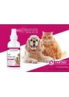 Pro Perfeck Kedi Ve Köpek Fantezi Parfüm 100 ml