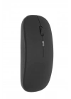 Profesyonel Mouse Wireless  Faresi Bluetooth Bağlantılı
