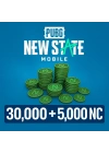 Pubg New State Mobile 30.000 + 5.000 Nc