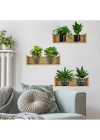 Raflı Bitki Tasarımlı Yapışkanlı Sticker 20*30 cm 3lü Set