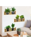 Raflı Bitki Tasarımlı Yapışkanlı Sticker 20*30 cm 3lü Set
