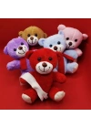 Renkli Peluş Ayıcık