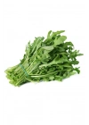 Roka Tohumu 10 Gr