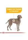 Royal Canin Adult Maxi Dermacomfort Yetişkin Köpek Maması 12 Kg