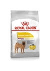 Royal Canin Adult Medium Dermacomfort Yetişkin Köpek Maması 12 Kg