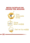Royal Canin British Shorthair Adult Pouch Konserve Kedi Maması 1 Adet 85 Gr