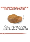 Royal Canin British Shorthair Adult Yetişkin Kedi Maması 10 Kg