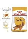 Royal Canin Cocker Adult Yetişkin Köpek Maması 3 Kg