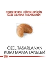 Royal Canin Cocker Adult Yetişkin Köpek Maması 3 Kg