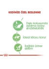 Royal Canin Digestive Sensitive Gravy Pouch Kedi Maması 1 Adet 85 Gr