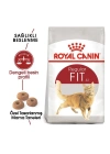 Royal Canin Fit 32 Yetişkin Kedi Maması 2 Kg