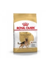 Royal Canin German Shepherd Adult Yetişkin Köpek Maması 11 Kg