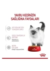 Royal Canin Kitten Jelly Pouch Yavru Konserve Kedi Maması 1 Adet 85 Gr