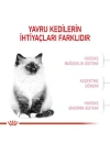 Royal Canin Kitten Yavru Kedi Maması 2 Kg