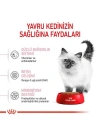 Royal Canin Kitten Yavru Kedi Maması 2 Kg