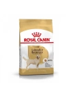 Royal Canin Labrador Retriever Yetişkin Köpek Maması 12 Kg