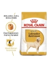 Royal Canin Labrador Retriever Yetişkin Köpek Maması 12 Kg