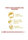 Royal Canin Persian Adult Yetişkin İran Kedisi Maması 400 Gr