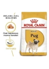Royal Canin Pug Adult Yetişkin Köpek Maması 1.5 Kg