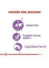 Royal Canin Sterilised Jelly Pouch Kısırlaştırılmış Kedi Maması 1 Adet 85 Gr