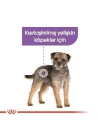 Royal Canin Sterilised Pouch Konserve Köpek Maması 1 Adet 85 Gr