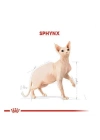 Royal Canin Tüysüz Sphynx Cinsi Yetişkin Kedi Maması 2 Kg