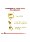 Royal Canin Yorkshire Terrier Adult Yetişkin Köpek Maması 1.5 Kg