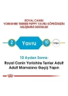 Royal Canin Yorkshire Terrier Junior Yavru Köpek Maması 1.5 Kg
