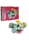 ® S00004685 BLX FLOWER SET SCULENT 971 PRÇ -SUN