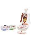 S00005280 BİLİM SET İNSAN VÜCUDU MODELİ 23PRÇ