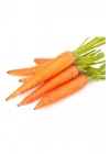 Sarı Havuç Tohumu 10 Gr