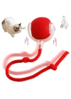 Şarjlı Kedi Oyuncağı