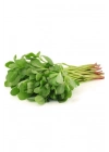 Semizotu Tohumu 10 Gr