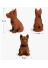 Sesli Köpek Oyuncağı – Eğlenceli ve Dayanıklı Köpek Oyuncağı